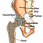 hip-illustration